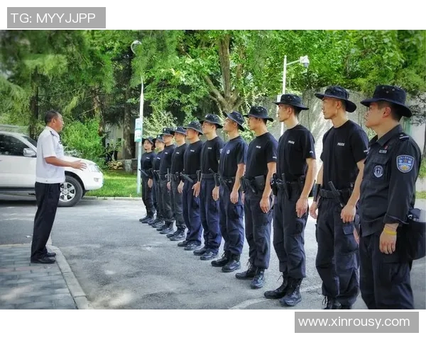 西安飞盘队的成功运营模式与发展策略全解析 西安飞盘队的成功运营模式与发展策略全解析