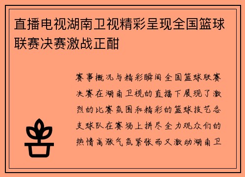 直播电视湖南卫视精彩呈现全国篮球联赛决赛激战正酣
